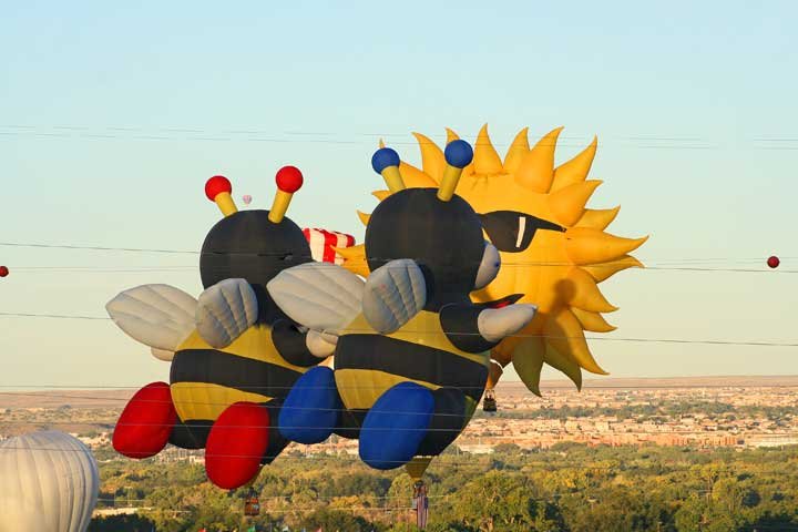 Two Bees with Sun